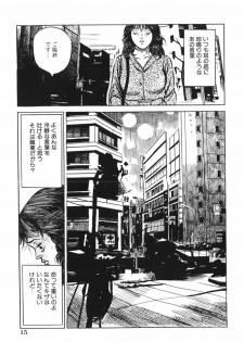 [Misawa Shin] Shakkin Zuma Niku Hensai - page 18