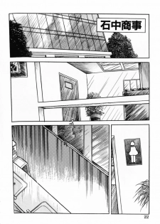 [Misawa Shin] Shakkin Zuma Niku Hensai - page 25