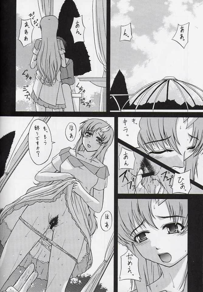 (C64) [Neo Frontier (Takuma Sessa)] My Milky Way 3rd (Gundam SEED) page 11 full