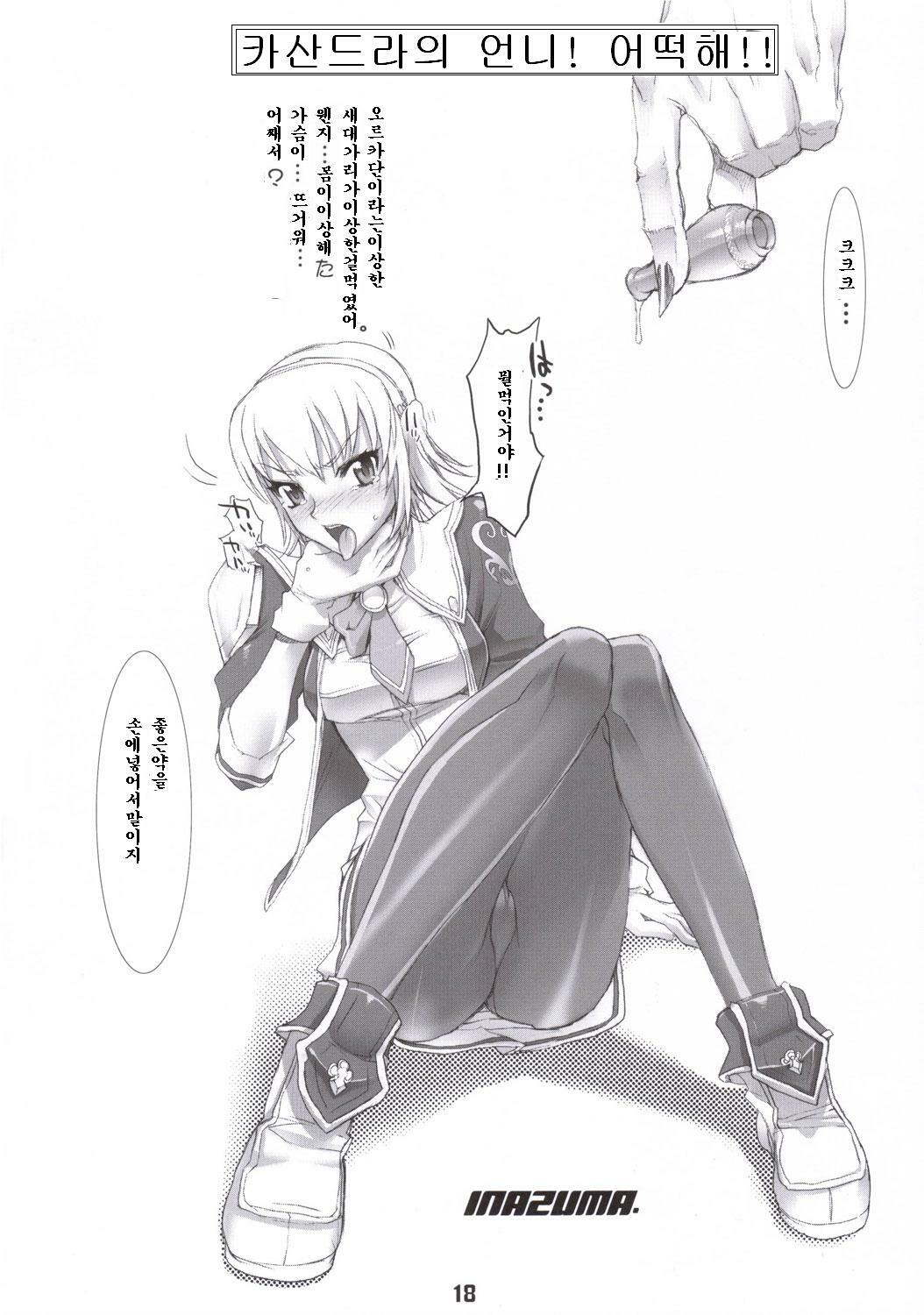 (SC30) [DIGITAL ACCEL WORKS (INAZUMA.)] FIREBIRD (SOULCALIBUR) [Korean] page 16 full
