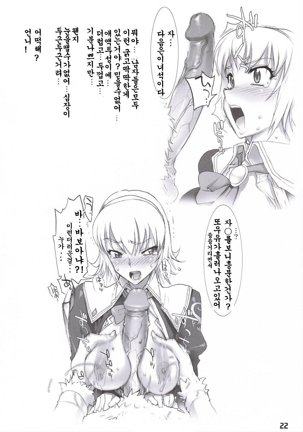(SC30) [DIGITAL ACCEL WORKS (INAZUMA.)] FIREBIRD (SOULCALIBUR) [Korean] page 20 full