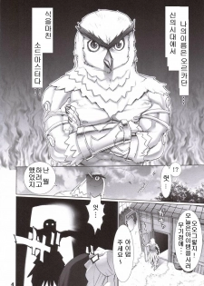 (SC30) [DIGITAL ACCEL WORKS (INAZUMA.)] FIREBIRD (SOULCALIBUR) [Korean] - page 3