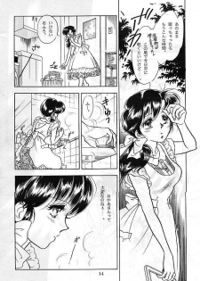[Studio Boxer (Various)] HOHETO 5 (Ranma 1/2) - page 14