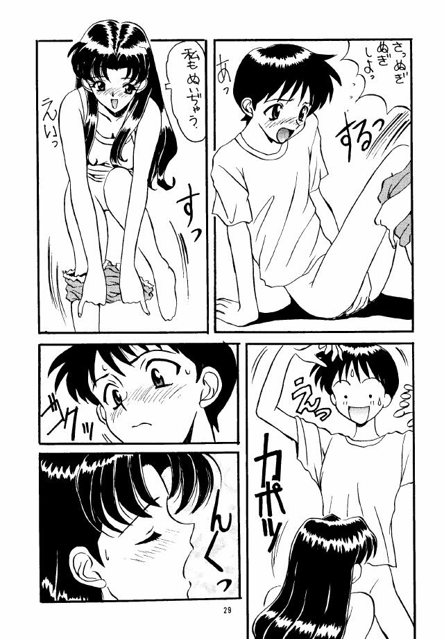 (C49) [STUDIO UNBALANCE (Various)] Sadistic Angels (Neon Genesis Evangelion) page 29 full