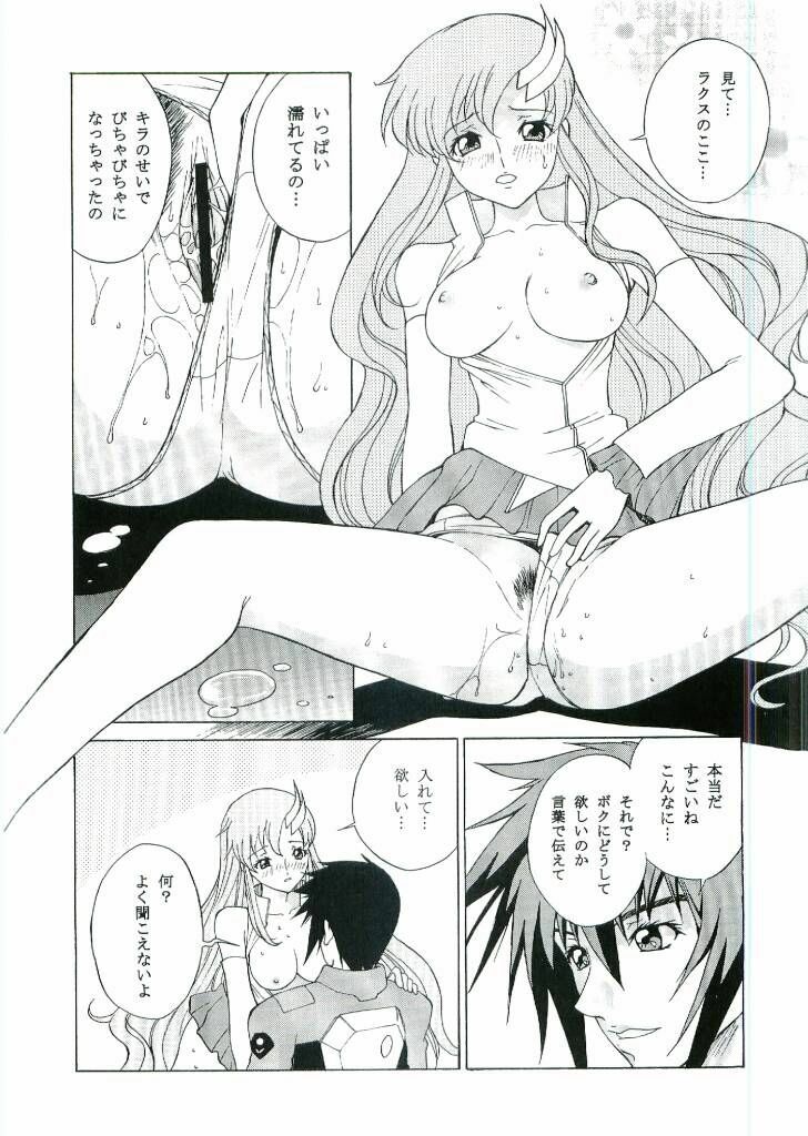 [Dragon Goya (Nagase Rurio)] DAIKICHIDOU DOREITAISITU (Gundam SEED) page 7 full