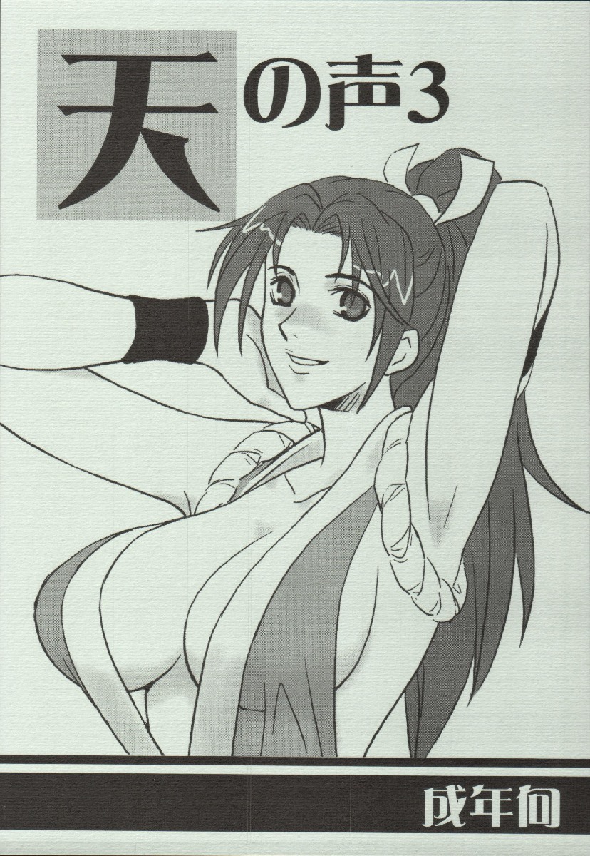 (C68) [Suginami Mougyuu Kai (SPY)] Ten no Koe 3 (King of FIghters) page 1 full