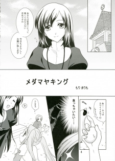 (C69) [VENOM (Mori Marimo, ZIN) mofu-mofu (Mabinogi) - page 3