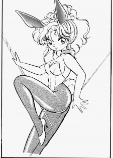 [Ashanti (Kisaragi Sara)] Ranma no Manma (Ranma 1/2) - page 14