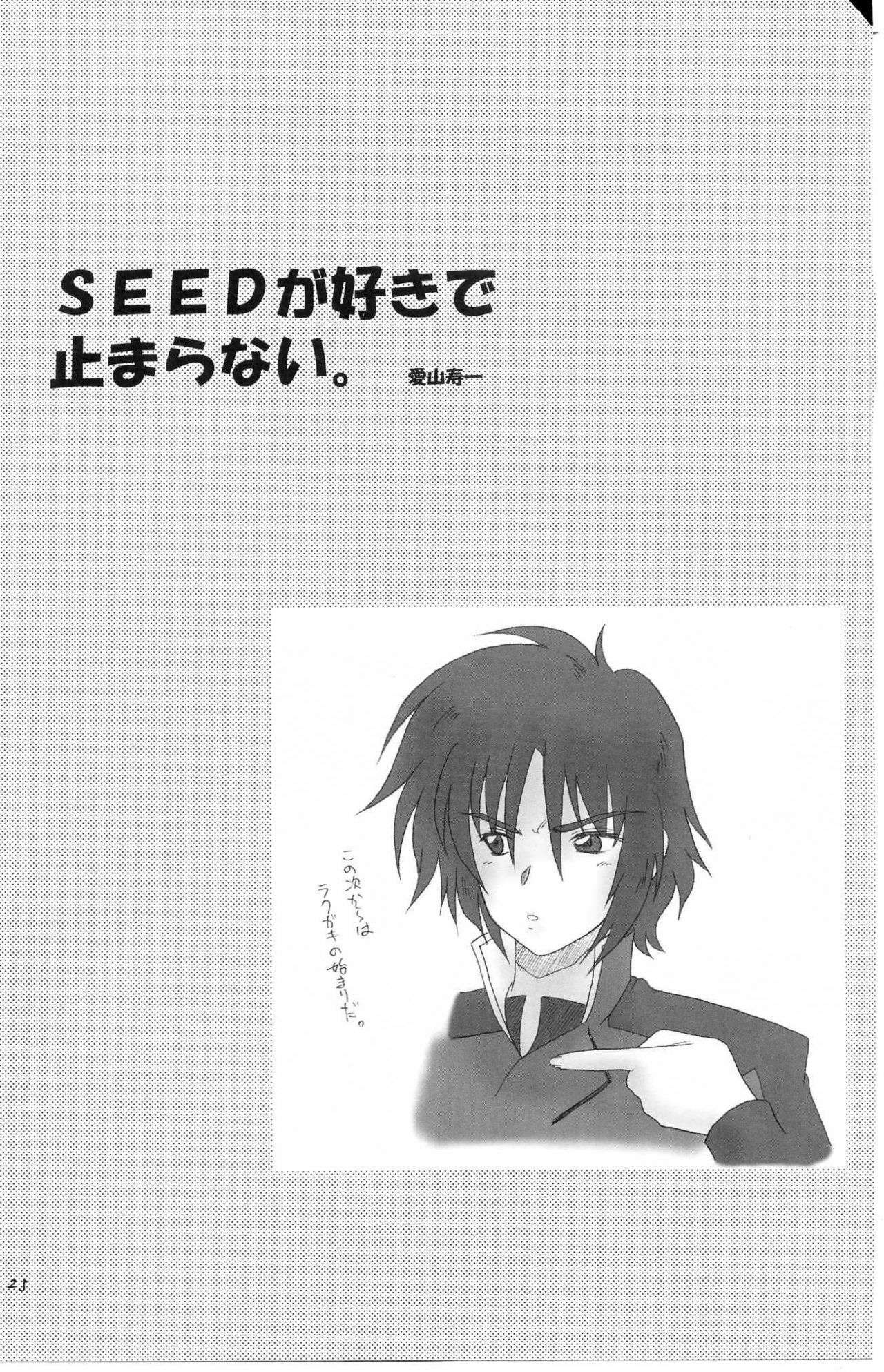 (CR37) [Oh!saka Spirits (Aiyama Toshikazu, Ugeppa, Uzu)] Uganda =Curry is a Drink= (Gundam SEED Destiny) page 24 full