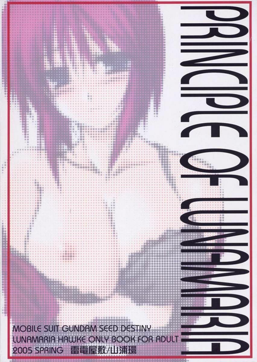 (CSP4) [Raiden Yashiki (Yamaura Tamaki)] Lunamaria Shugi | Principle of Lunamaria (Gundam SEED DESTINY) page 22 full