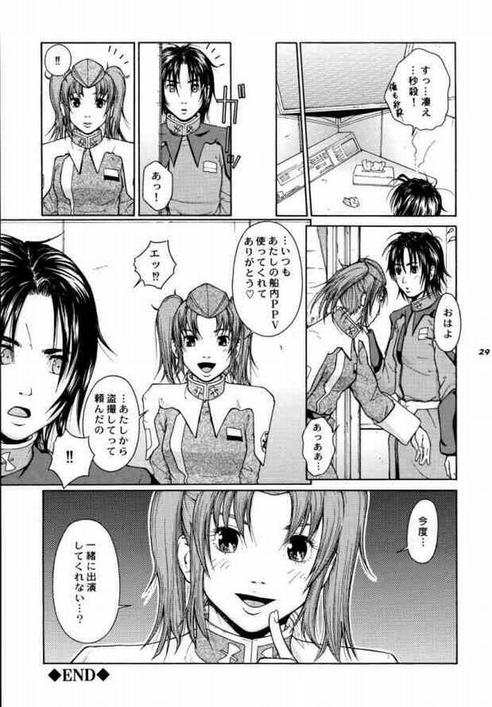 (CR37) [Hallenchi Planet (Tateno Tomoki)] TWT 3 (Mobile Suit Gundam SEED) page 28 full