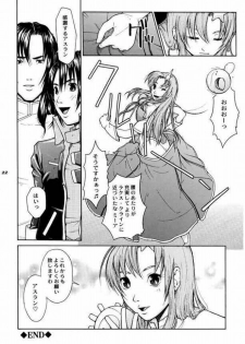 (CR37) [Hallenchi Planet (Tateno Tomoki)] TWT 3 (Mobile Suit Gundam SEED) - page 21