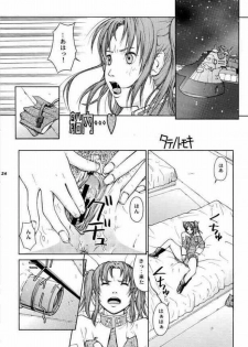(CR37) [Hallenchi Planet (Tateno Tomoki)] TWT 3 (Mobile Suit Gundam SEED) - page 23