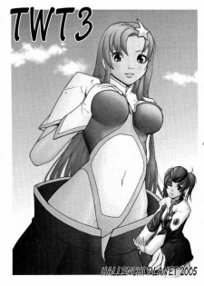 (CR37) [Hallenchi Planet (Tateno Tomoki)] TWT 3 (Mobile Suit Gundam SEED) - page 2