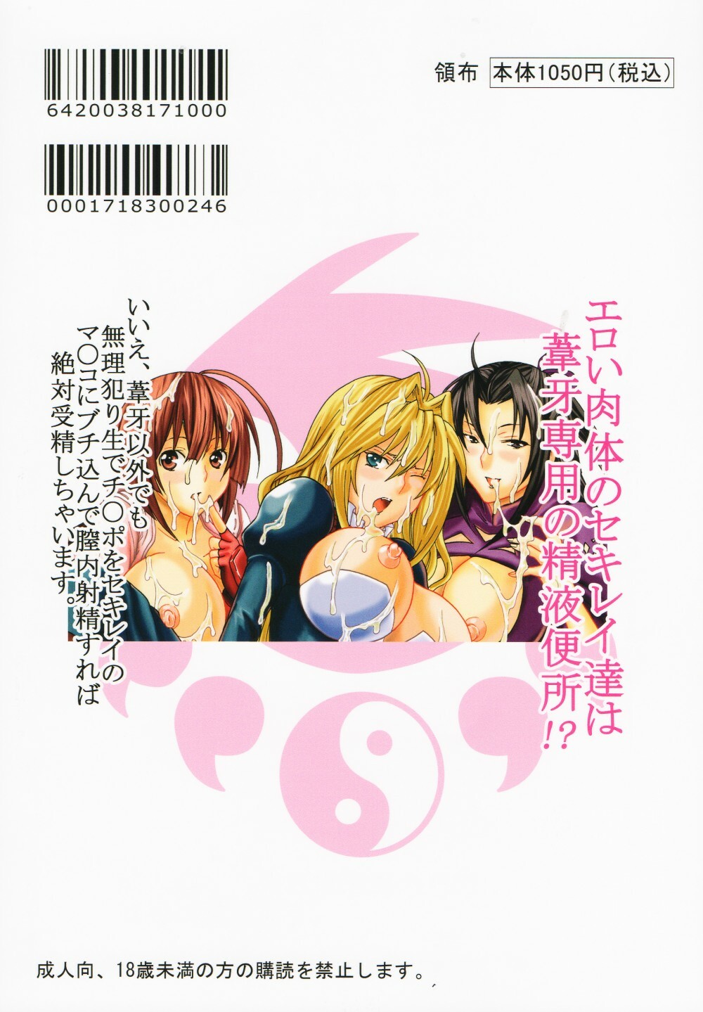 [St.Rio (MyMeroD!)] Sekirei Hobaku Keikaku 3 (Sekirei) page 49 full
