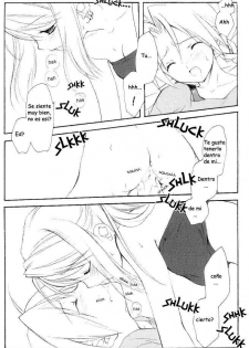 (C65) [Kyougetsutei (Miyashita Miki)] Hagane No XXXX (Fullmetal Alchemist) [Spanish] - page 15
