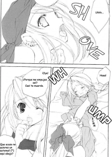(C65) [Kyougetsutei (Miyashita Miki)] Hagane No XXXX (Fullmetal Alchemist) [Spanish] - page 6