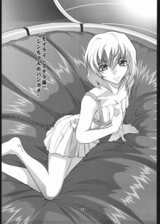 (Puniket 11) [Byousatsu Tanukidan (Saeki Tatsuya)] Moirai (Gundam SEED Destiny) - page 12