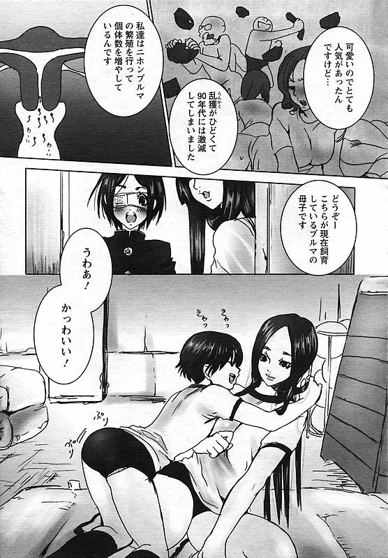 ANGEL Club 2006-10 page 335 full