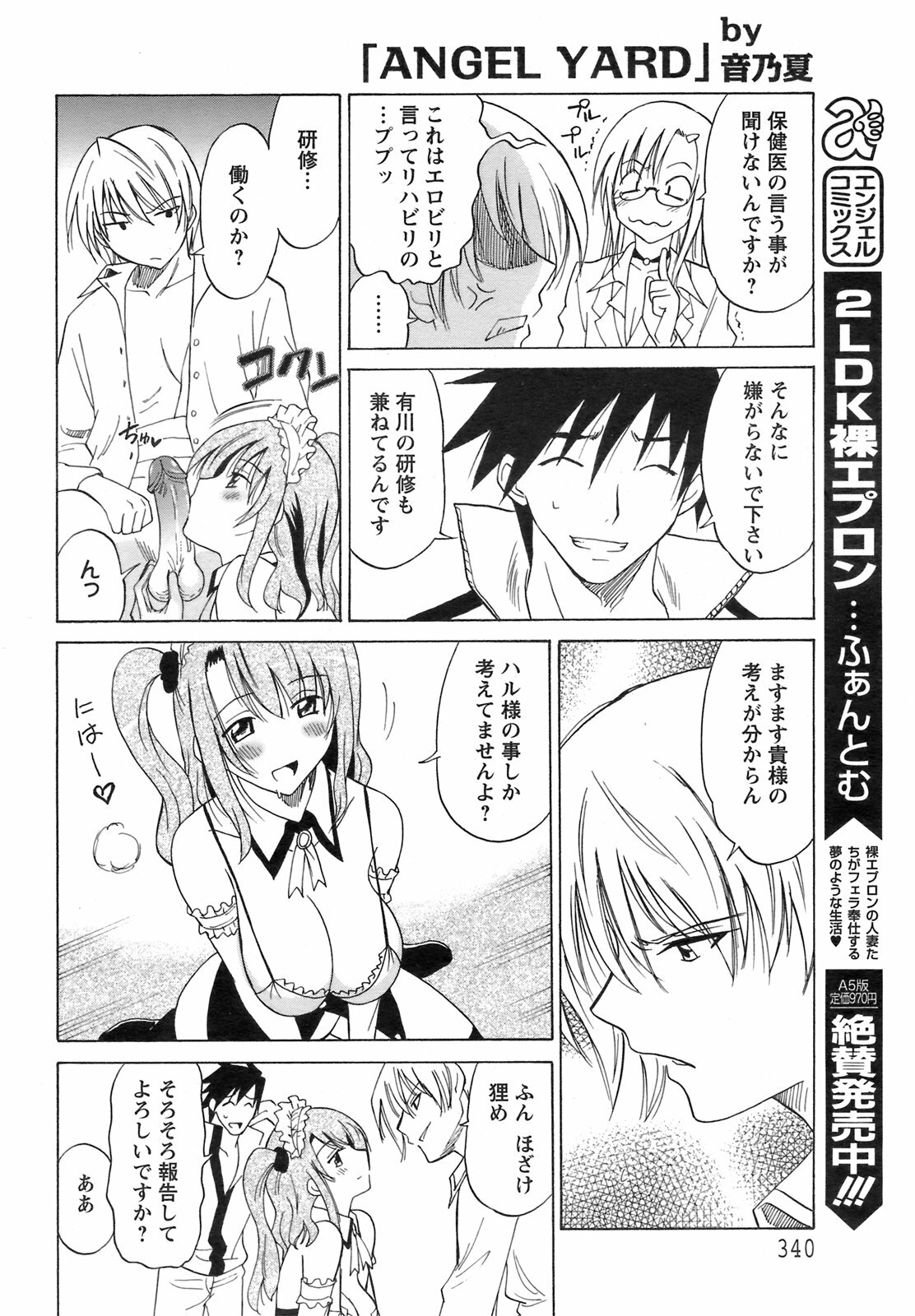 ANGEL Club 2008-09 page 337 full