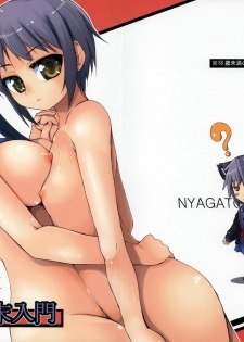 [Shachitara (Syati Kamaboko, Tarakan)] TFEI Tanmatsu Nyuugato (Suzumiya Haruhi no Yuuutsu)