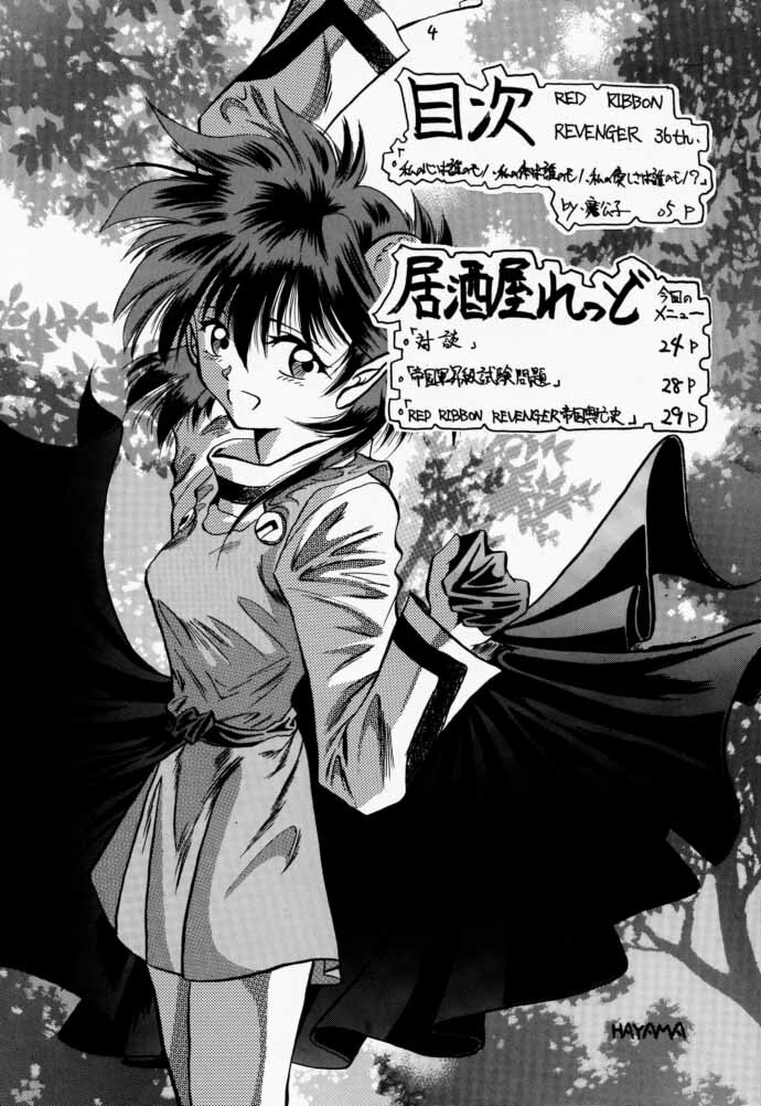 (C59) [RED RIBBON REVENGER (Makoushi)] Elf's Ear Book 3 - Ao no Taikai III ~Operation Ocean Blau III~ (Star Ocean 2) page 3 full