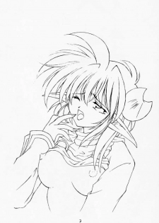 (C59) [RED RIBBON REVENGER (Makoushi)] Elf's Ear Book 3 - Ao no Taikai III ~Operation Ocean Blau III~ (Star Ocean 2) - page 2