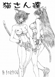 (SC16) [Power Slide (Uttorikun)] Love Cat 2 (Azumanga Daioh, Outlaw Star) - page 3
