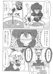[Neriwasabi] Kimagure Bunny no Bouken - page 28