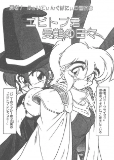 [Neriwasabi] Kimagure Bunny no Bouken - page 41