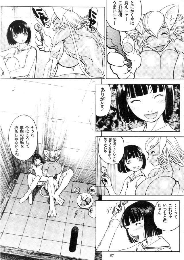 (C57) [METAL (Various)] MODEL CAPCOM (Various) page 88 full