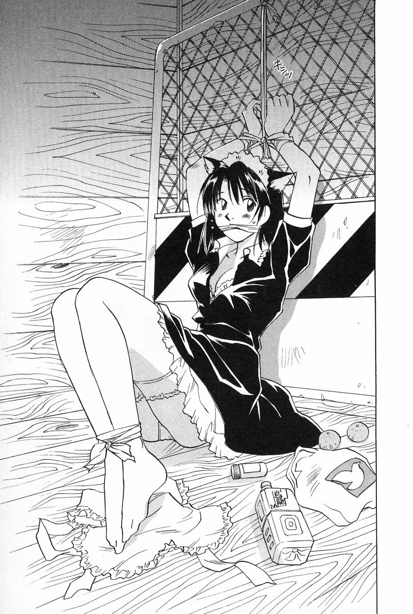 [Iogi Juichi] Maidroid Yukinojoh Vol.2 page 163 full