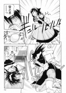 [Iogi Juichi] Maidroid Yukinojoh Vol.2 - page 29