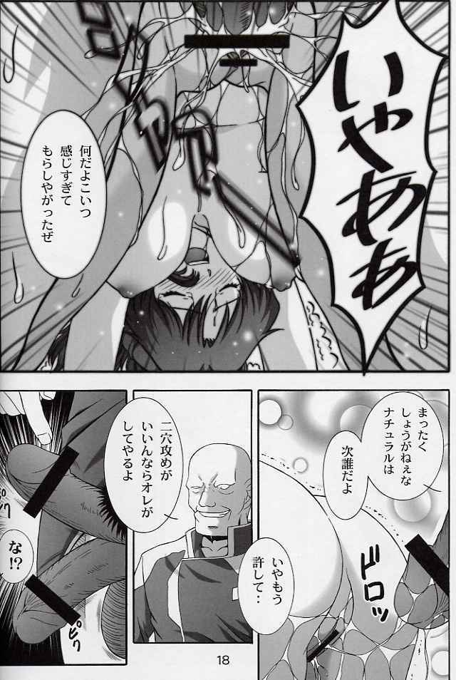 (CR33) [Studio Wallaby (Takana Yu-ki)] SECRET FILE NEXT 6 (Kidou Senshi Gundam SEED) page 17 full