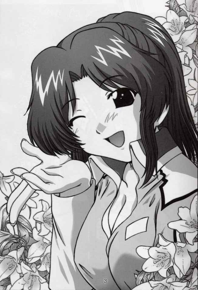 (CR33) [Studio Wallaby (Takana Yu-ki)] SECRET FILE NEXT 6 (Kidou Senshi Gundam SEED) page 2 full
