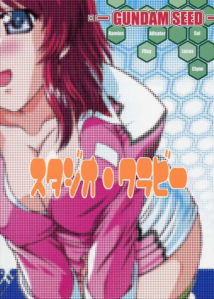 (CR33) [Studio Wallaby (Takana Yu-ki)] SECRET FILE NEXT 6 (Kidou Senshi Gundam SEED) page 34 full