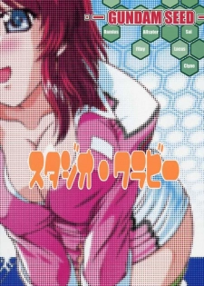 (CR33) [Studio Wallaby (Takana Yu-ki)] SECRET FILE NEXT 6 (Kidou Senshi Gundam SEED) - page 34