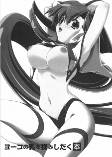(C73) [Sakura Zousui (Narumi Suzune)] Yoko no Chichi wo Momishidaku Hon (Tengen Toppa Gurren Lagann) [English] - page 2