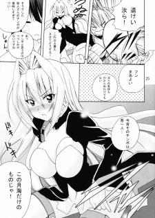 (SC41) [PH (TAM)] Ai Desu Watashi no Ashikabisama (Sekirei) - page 25