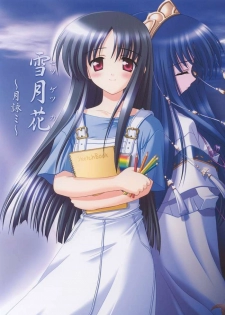 (C63) [Knights (Kishi Nisen)] Setsugetsuka ～ Tsukiyomi ～ (Suigetsu)
