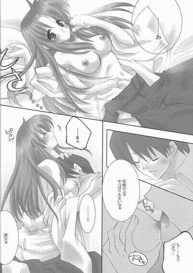 (C62) [Arestica (Ariko Youichi)] Hanagoyomi (Suigetsu) page 7 full