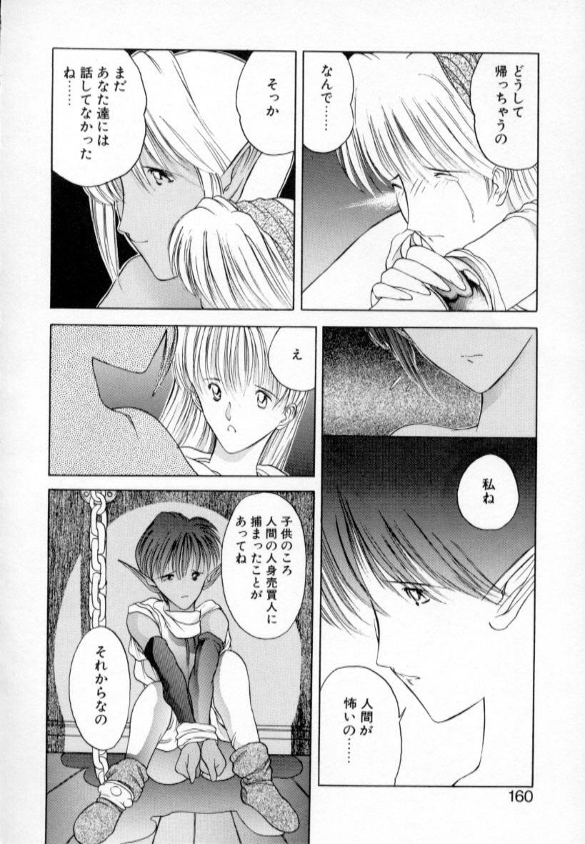 [Togashi] History 1 - Story Of The Forest Fairy 1 (Yenc-Dajir) page 163 full
