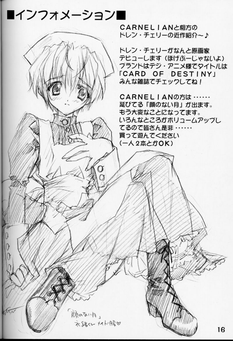 (CR28) [CARNELIAN] X Gee Mania (Machine Maiden) page 15 full