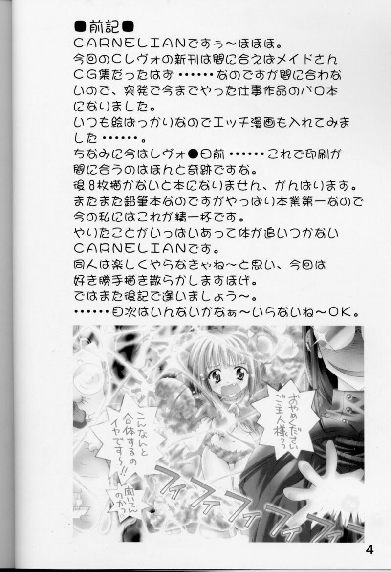 (CR28) [CARNELIAN] X Gee Mania (Machine Maiden) page 3 full