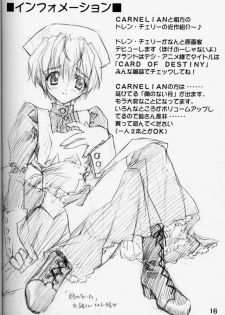 (CR28) [CARNELIAN] X Gee Mania (Machine Maiden) - page 15