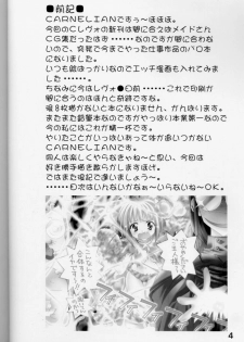 (CR28) [CARNELIAN] X Gee Mania (Machine Maiden) - page 3