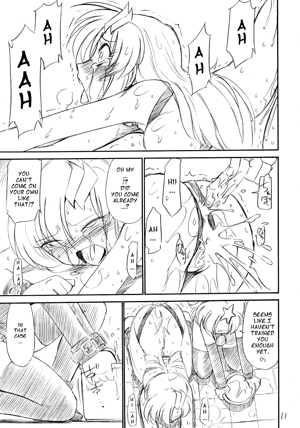 (C70) [EINSATZ GRUPPE (Charlie Nishinaka)] PRISONER 8 Miserable Birds (Gundam SEED DESTINY) [English] [YQII] page 12 full