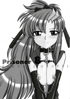 (C70) [EINSATZ GRUPPE (Charlie Nishinaka)] PRISONER 8 Miserable Birds (Gundam SEED DESTINY) [English] [YQII] - page 2