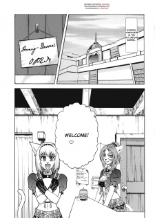 [ARCHENEMY (Kasumi Ryo)] Ein Joghurt wie ein Honig-Dessert. EXTENDED EDITION (Final Fantasy XI) [English] [desudesu] - page 4