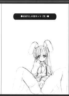 (C62) [Ashuraya (Kushida Ashura)] Acolyte Heaven (Ragnarok Online) - page 17